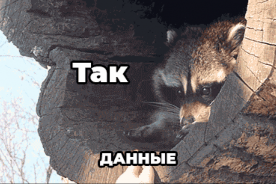Хранение данных